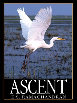 cover image of Ascent
